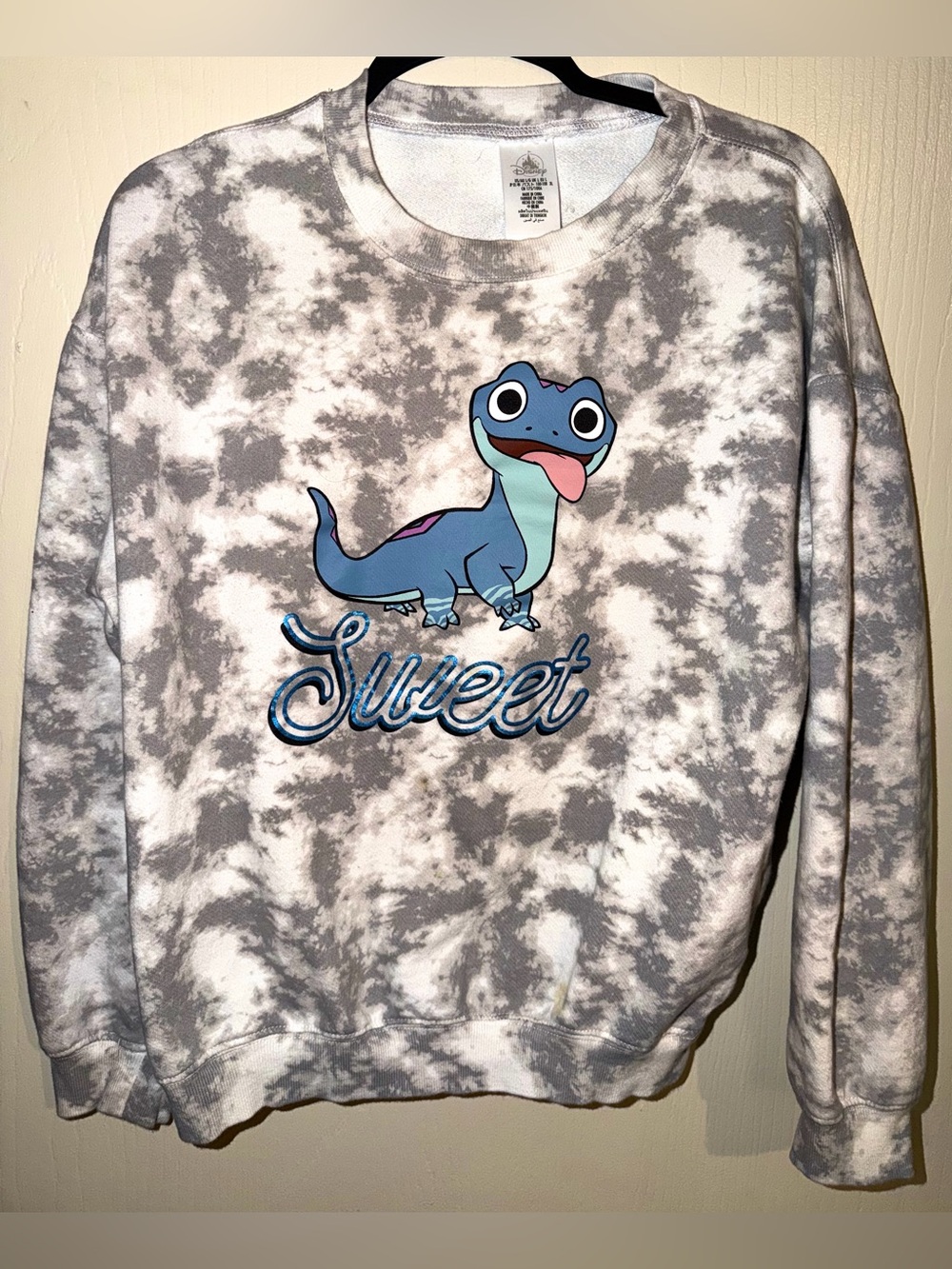 Disney frozen 2 “Bruni” salamander pullover crewneck